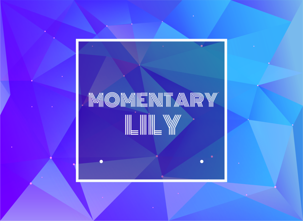 Text Typed in Momentary Lily